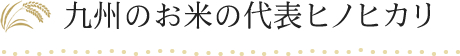 九州のお米の代表ヒノヒカリ